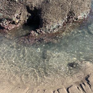 Meet your Posher, Ava